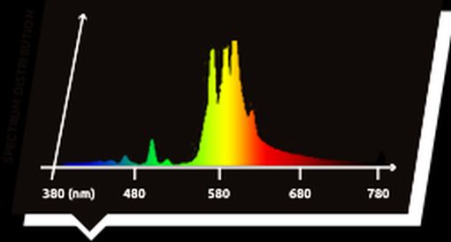 Lamp Spectral Pic